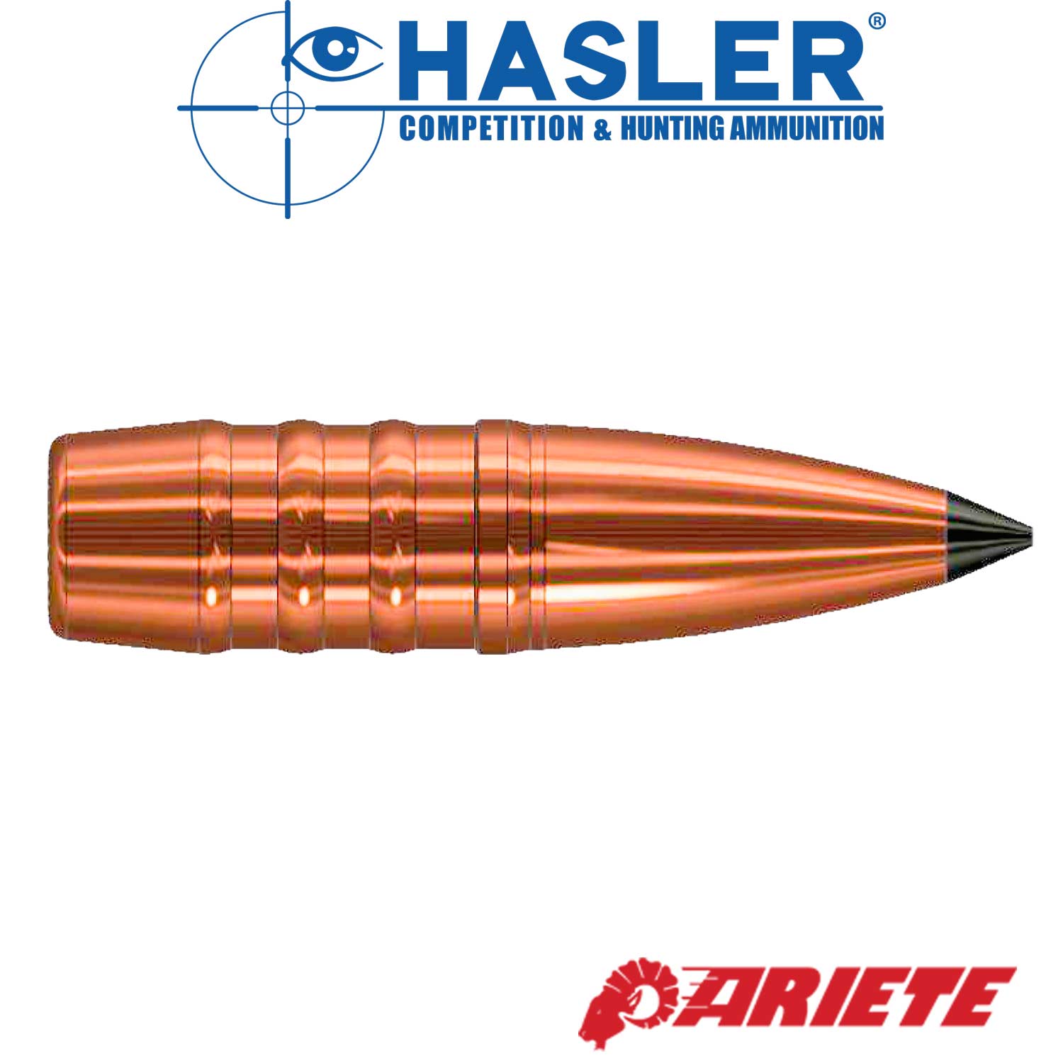 Geschoss Ariete cal. 8 (.323) da 170 gr, BC 0,390 (50 pz)