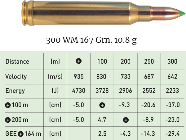 Munizioni 300 WM 167 Gm. 10.8 g